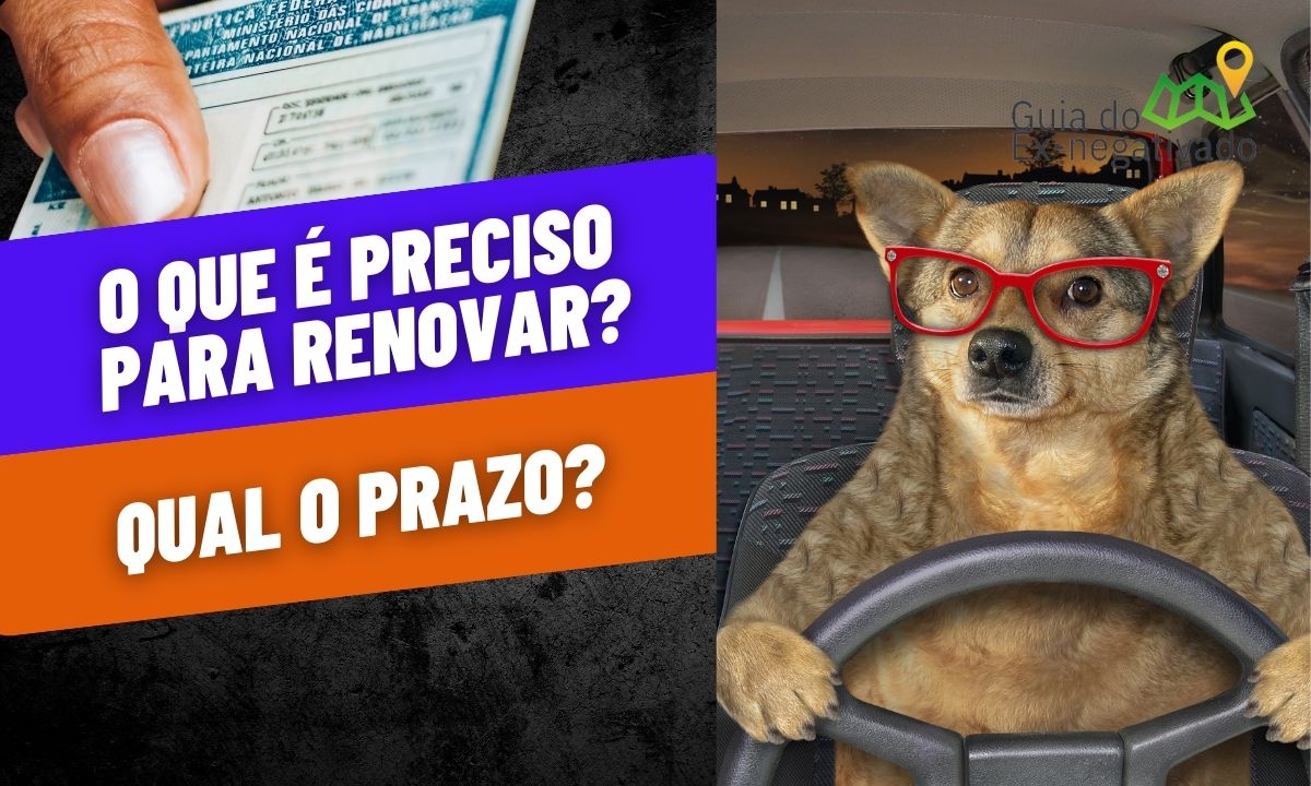 Qual valor para renovar CNH 2023? Saiba exigências e prazos para renovação