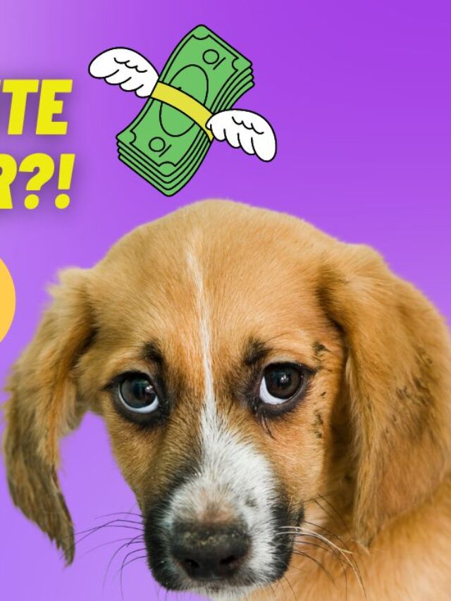 Empréstimo Nubank sumiu