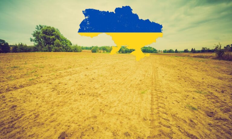 Minas terrestres impedem a recuperação da agricultura na região de Kherson, na Ucrânia 6 Minas terrestres espalhadas pelos russos