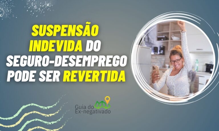 Aprenda como solicitar a retomada do seguro-desemprego pela internet 1 Como solicitar a retomada do seguro desemprego pela internet