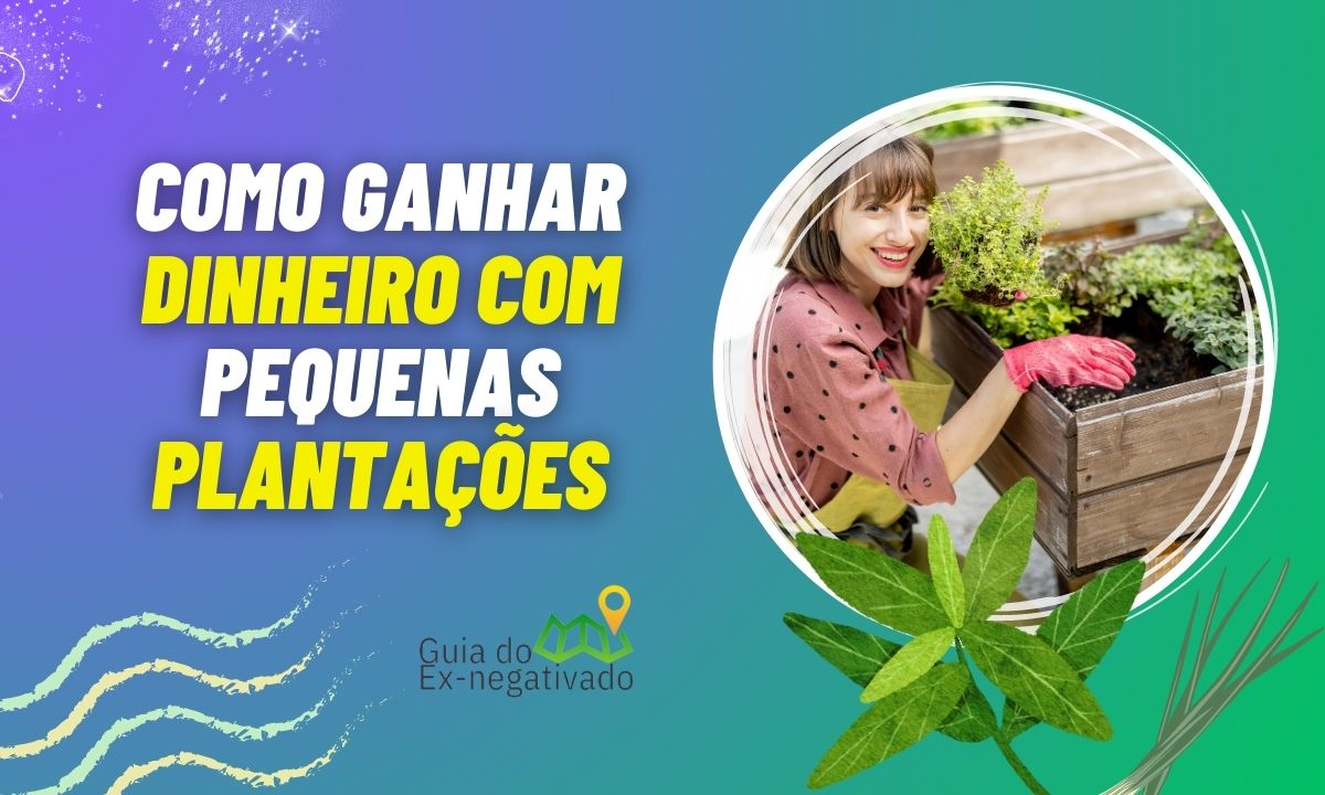 Pequenas plantações que dão lucro