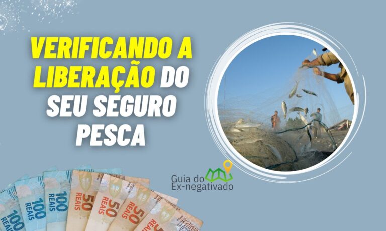 Como saber se meu seguro pesca está liberado? Aprenda a consultar 6 Como saber se meu seguro pesca está liberado