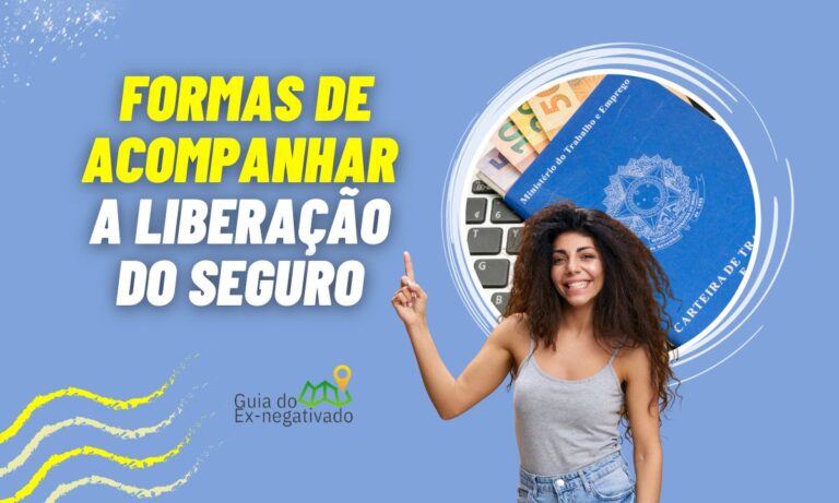 Consulta ao seguro-desemprego no MTE: passo a passo para ter acesso 3 Consulta Seguro Desemprego MTE