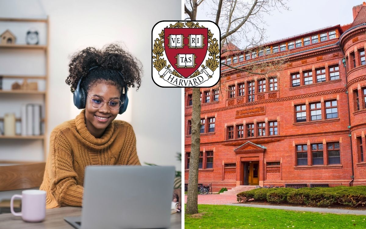 Harvard cursos gratuitos e online