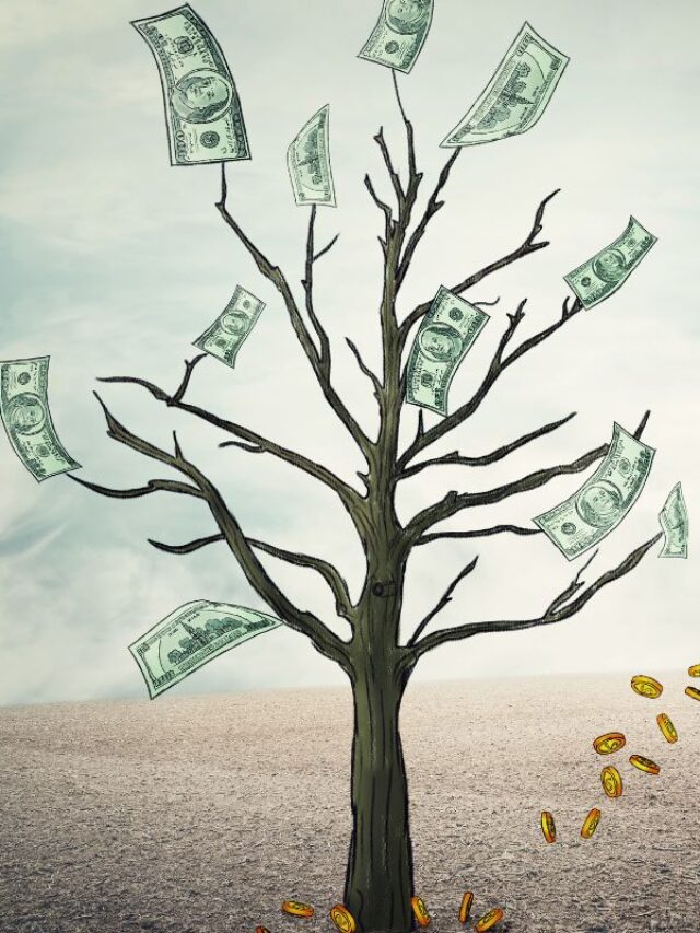 Story 5 melhor plataforma para ganhar dinheiro.